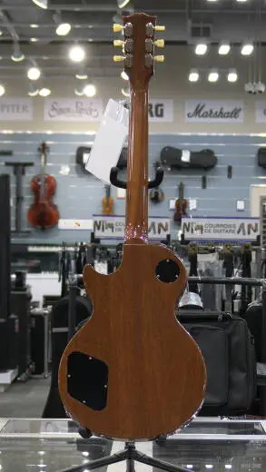 Gibson - Les Paul Deluxe 70s Goldtop 2